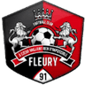 Fleury 91